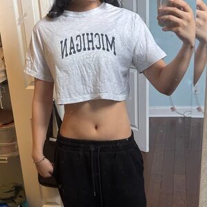 michigan cropped tee